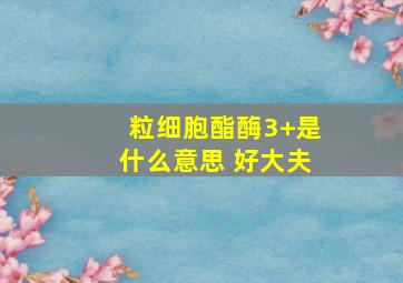 粒细胞酯酶3+是什么意思 好大夫